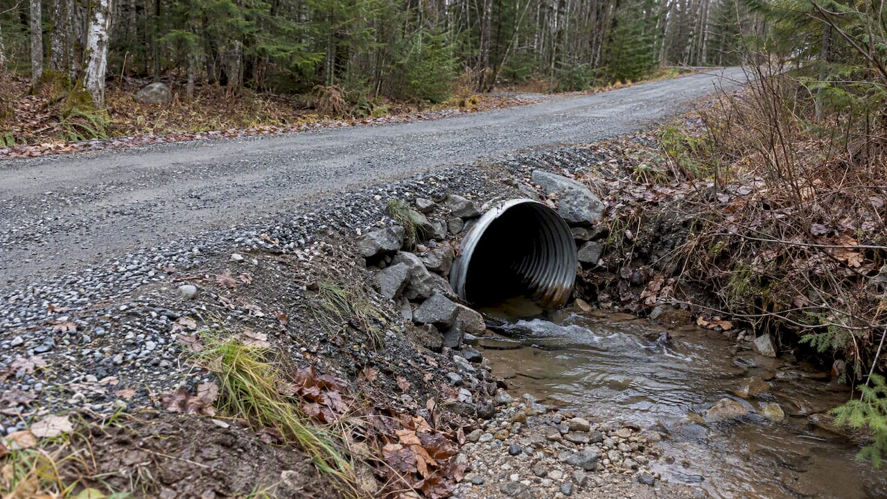 Culvert and ditch beside Maine gravel road