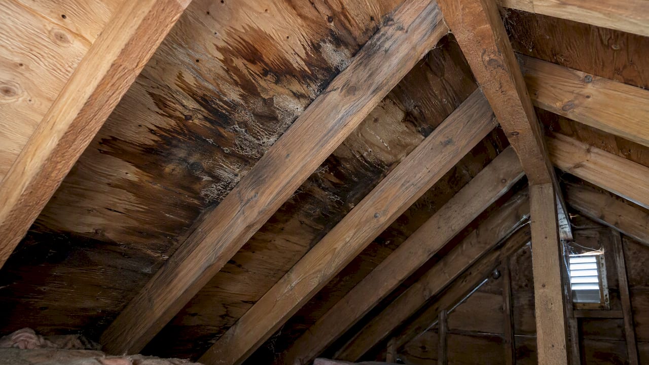 Water staining beneath Maine attic roof rafters